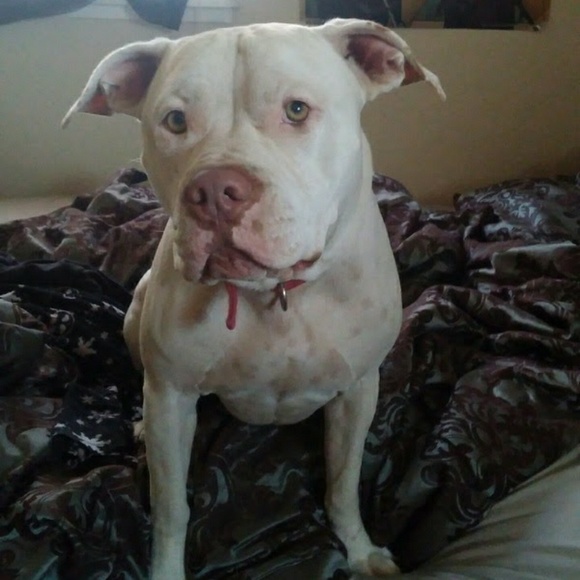 Meet your Seller, Asriona! - Picture 4 of 6